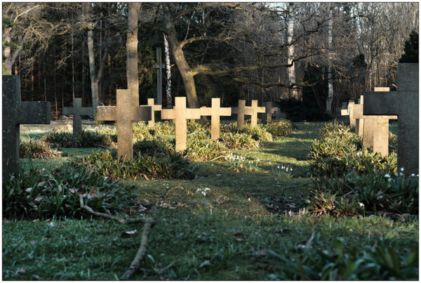 Mehrere Grabkreuze in Reihe stehen in der Sonne auf einem Grasfeld auf einem Friedhof.