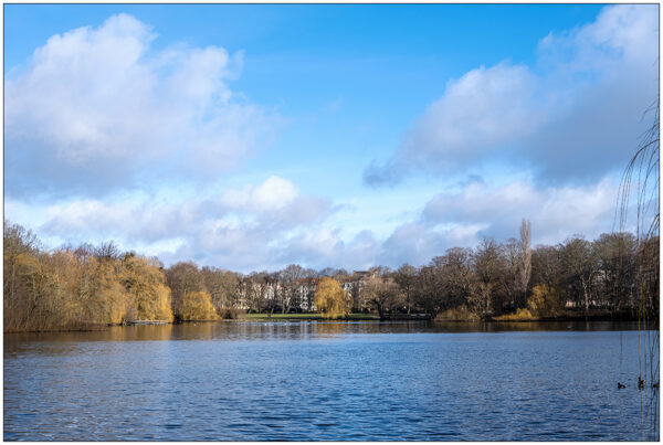 Februarsonne im Schrevenpark