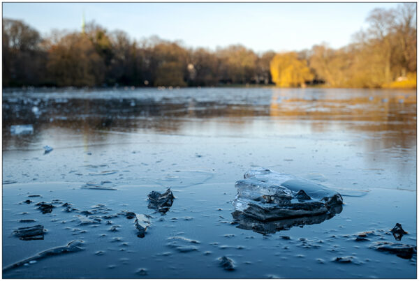 Foto von einem Wintertag im Kieler Schrevenpark. Zu sehen sind im Vordergrund kleine Eisstücke, die aus Bodennähe fotografiert sind.