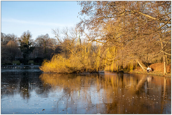 Foto, auf dem der Kieler Schreventeich im Sonnenschein zu sehen ist. Es ist Winter und der Teich ist zugefroren. Am linken Bildrand sitzt ein Mensch in der Sonne und liest ein Buch.