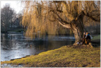 Foto, auf dem zwei Frauen zu sehen sind, die in einem Park auf den Wurzelausläufern eines Baumes sitzen und in die Wintersonne schauen.