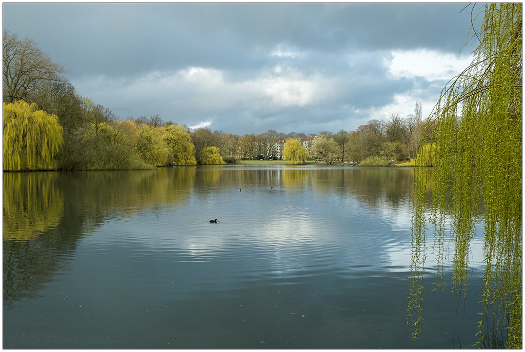 Schrevenpark in Kiel im Frühling. Blick über den Schreventeich.