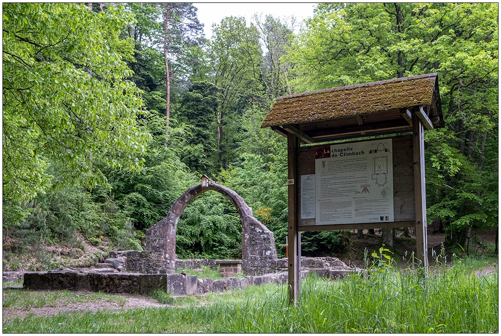 Eine Ruine in einem Wald. Davor eine Infotafel.
