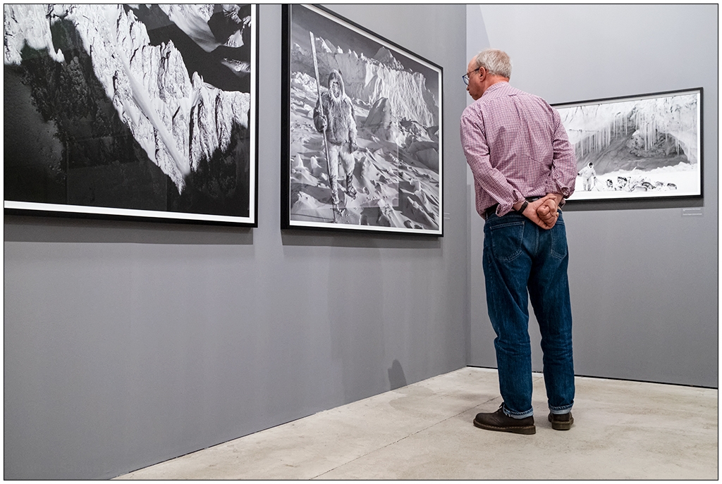 Ein Mann betrachtet eine Fotografie in der Ausstellung von Ragnar Axelsson "Where the world is melting" in Hamburg im PHOXXI.