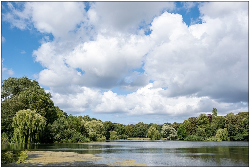 Schrevenpark in Kiel im Sommer. Blick über den Schreventeich. Mit vielen weißen Wolken am Himmel.