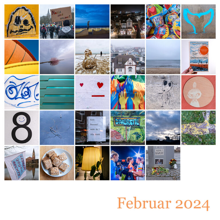 366 | 2024 – Letzte Februartage und Februarmosaik