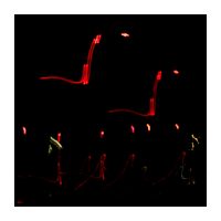 365-Tage-Projekt 360/365 © 2018 Sabine Lommatzsch