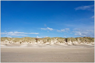 Dünen von Vejers Strand in Dänemark © 2016 Sabine Lommatzsch