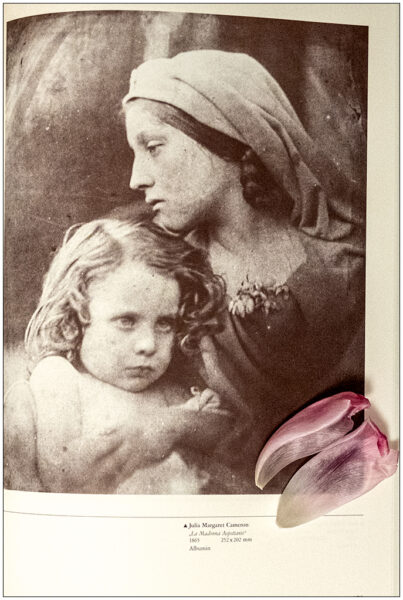 Fotografie von Julia Margaret Cameron in einem Fotobuch