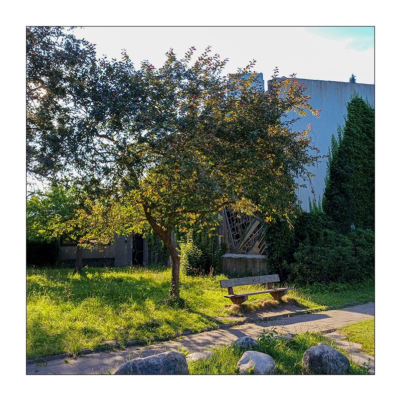 Eine Bank steht unter einem Baum, durch den die Abendsonne hindurch strahlt. Rechts daneben ist im Hintergrund die Kirche in Altenholz-Stift zu sehen.